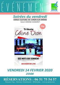Des Mots qui sonnent 'Tribute Céline Dion'
